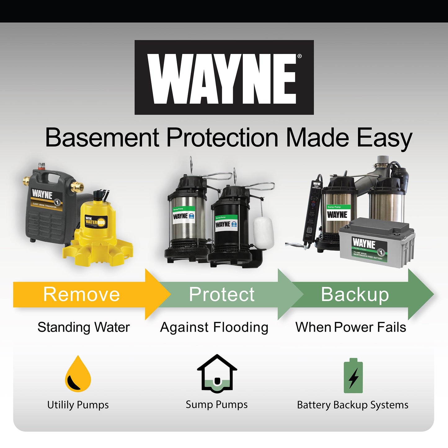 WAYNE EEAUP250 1/4 HP Reinforced Thermoplastic Submersible Multi-Use Pump, Black