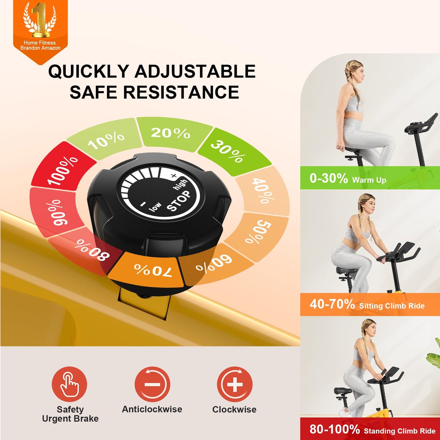 Exercise Bikes for Home,Indoor Cycling Bike with Adjustable Friction,Brake Pad Resistance Silent Belt Drive,330lbs Weight Capacity &Upgraded Version Seat for Home Cardio&Weight Loss(Classical Exercise Bikes Plus)