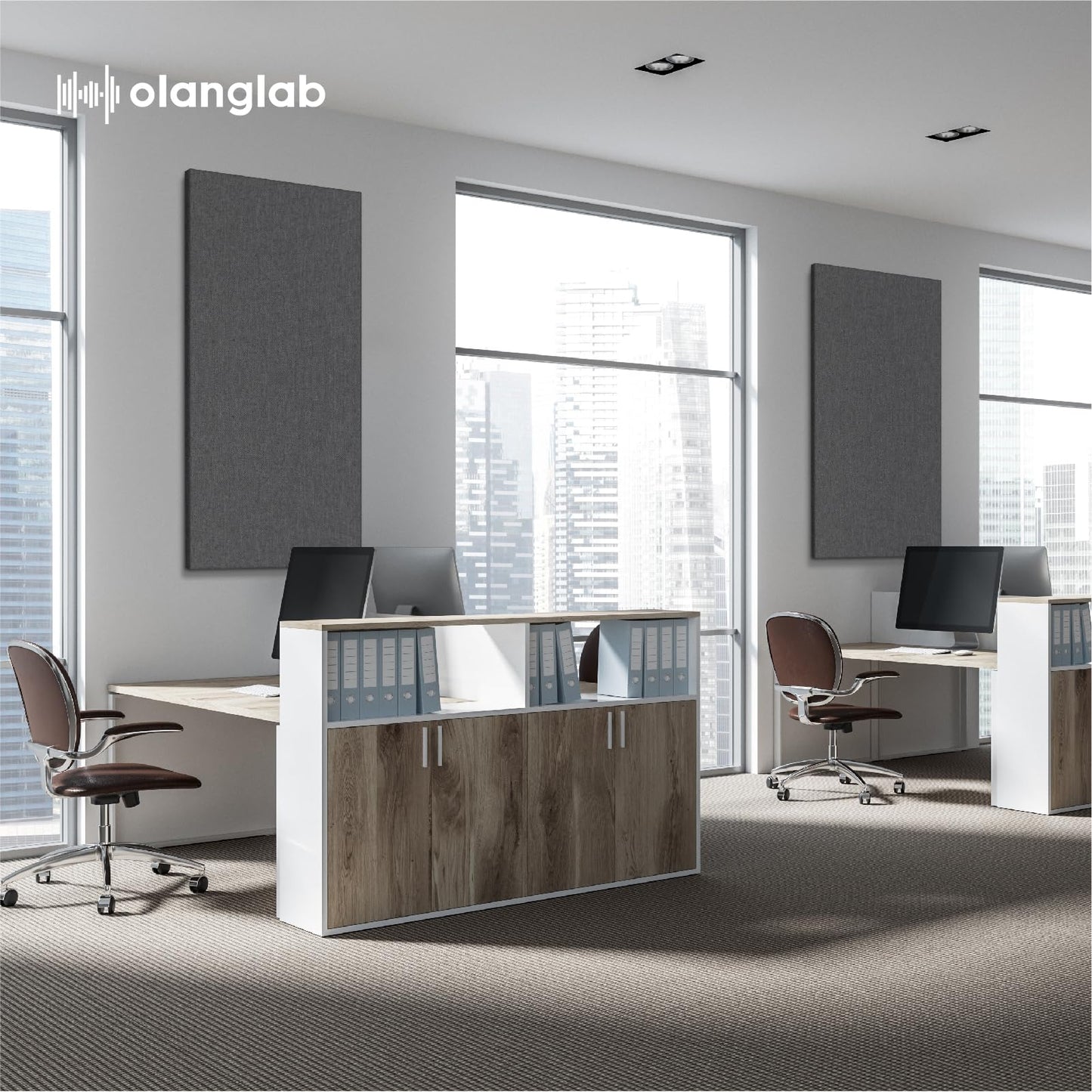Olanglab Acoustic Panels 2 Pack, 48''x24'' Large Sound Panels, Fabric Wrapped Sound Proof Foam Panels for Walls, Sound Absorbing Panels for Recording Studio Acoustical Treatments (Dark Gray)
